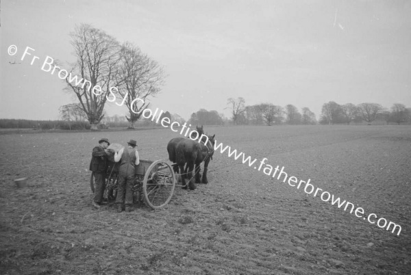 SOWING CORN